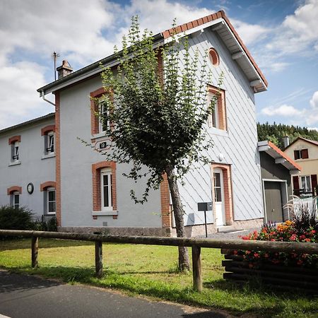La Halte 19 Βίλα Ban-sur-Meurthe-Clefcy Εξωτερικό φωτογραφία